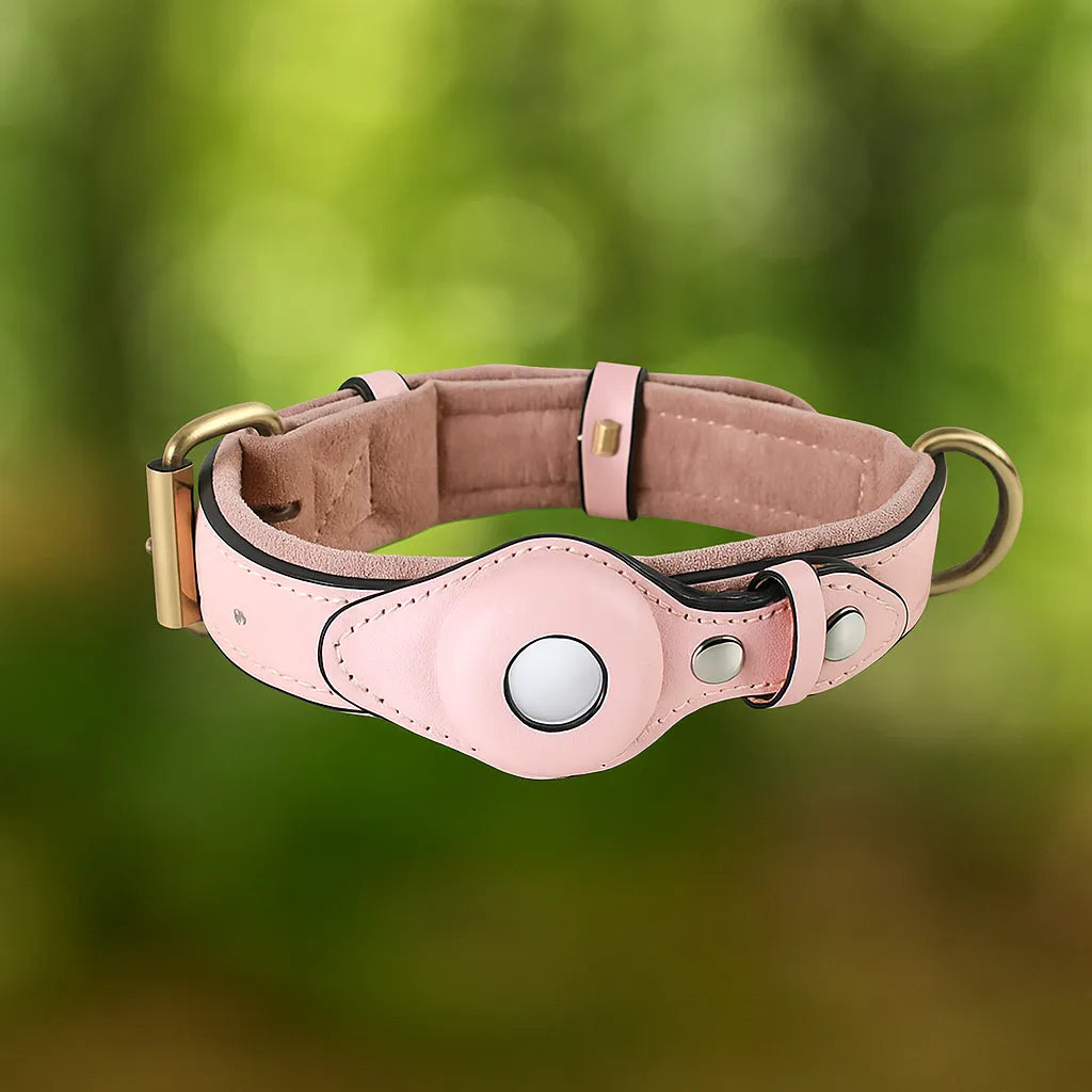 Leder Hundehalsband mit AirTag Halterung – Gepolstert & Sicher