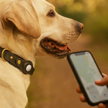 Leather Dog Collar with AirTag Holder – Padded & Safe