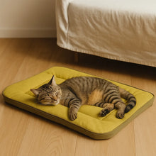 Cat Bed Year-Round | Foldable Cuddle Bed for Summer & Winter