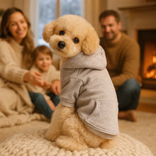 Warmer Hoodie für Hunde und Katzen – Kapuzenpullover für Herbst und Winter