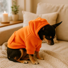 Dog coat with hood | Warm fleece hoodie for dogs in winter