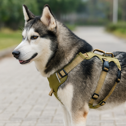 Hundegeschirr ausbruchssicher | Verstellbares & gepolstertes Sicherheitsgeschirr
