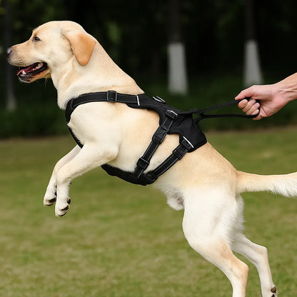 Hundegeschirr ausbruchssicher | Verstellbares & gepolstertes Sicherheitsgeschirr