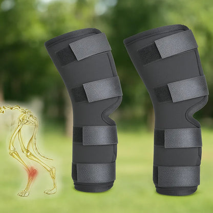 Doppelte Kniebandage für Hunde – Stabilität & Schutz bei Gelenkproblemen