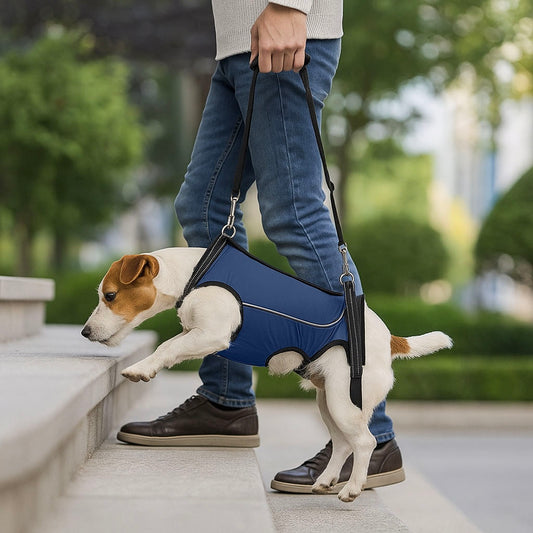 Hundetragehilfe – Hebegurt für ältere & verletzte Hunde