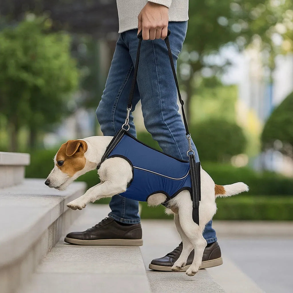 Hundetragehilfe – Hebegurt für ältere & verletzte Hunde