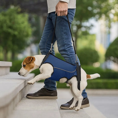 Hundetragehilfe – Hebegurt für ältere & verletzte Hunde