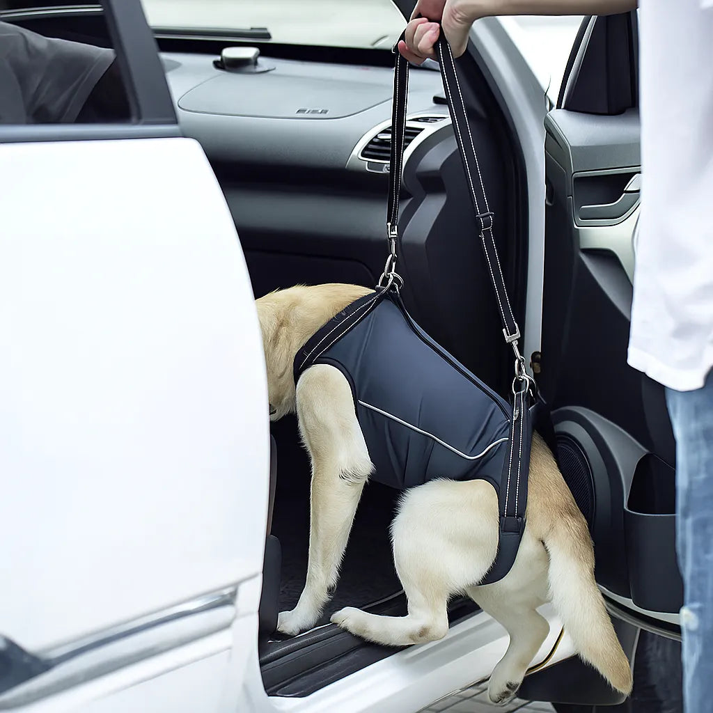 Hundetragehilfe – Hebegurt für ältere & verletzte Hunde