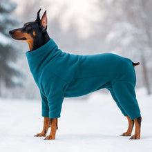 Pull chaud pour chien | Pull douillet pour chien avec col roulé