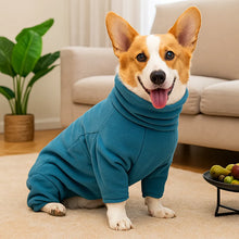 Pull chaud pour chien | Pull douillet pour chien avec col roulé