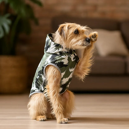 Hundejacke Winter | Wasserdicht, warm & reflektierend mit Bauchschutz