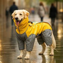 Veste de pluie imperméable pour chien | Combinaison légère pour chien avec jambes