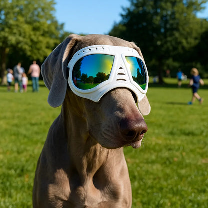 Hundeschutzbrille – Winddicht & mit UV-Schutz für kleine und mittelgroße Hunde