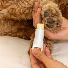 Paw Balm & Nose Balm | Natural Care for Dog & Cat