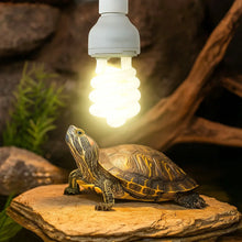 Lampe UVB 13W/26W | Pour reptiles, tortues, lézards & serpents