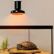 Radiateur infrarouge pour reptiles – Lampe chauffante céramique E27 (25W-100W)