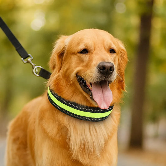 Anti-Zug Hundehalsband | Sanfte Kontrolle & Training