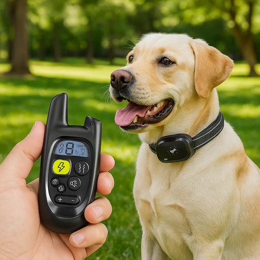 Hundetrainingshalsband | Ton, Vibration & Impuls | Sicher & Smart