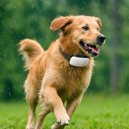 Antibellhalsband Hund | Vibration & Ton | Wasserdicht mit Akku