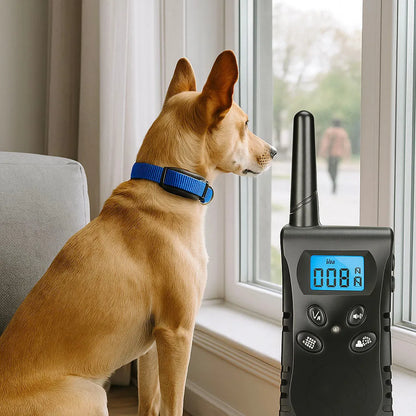 Halsband Hund | Erziehung & Anti-Bell Training mit Vibration & Ton