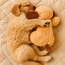 Jouet pour chien avec battement de cœur pour chiots | Peluche contre l'anxiété de séparation & le stress