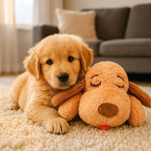 Jouet pour chien avec battement de cœur pour chiots | Peluche contre l'anxiété de séparation & le stress