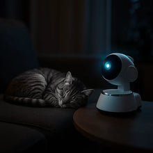 Surveillance Camera for Dogs & Cats – HD Video, Night Vision & Two-Way Audio