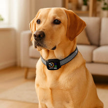 Anti-bark collar | Without electric shock with vibration & sound