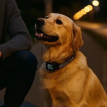 Anti-bark collar | Without electric shock with vibration & sound