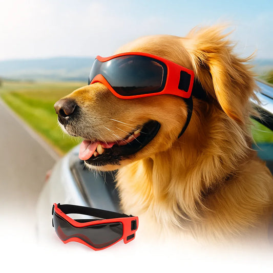 Schutzbrille für Hunde mit UV-Schutz – Gegen Sonne, Wind & Staub