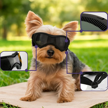 Schutzbrille für Hunde mit UV-Schutz – Gegen Sonne, Wind & Staub