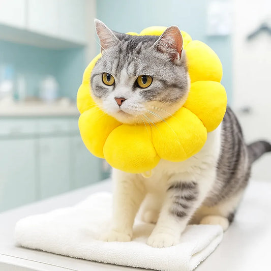 Katzen Halskrause weich | Schutzkragen, verhindert Lecken & Kratzen