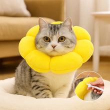 Soft Cat Collar | Protective Collar, Prevents Licking & Scratching