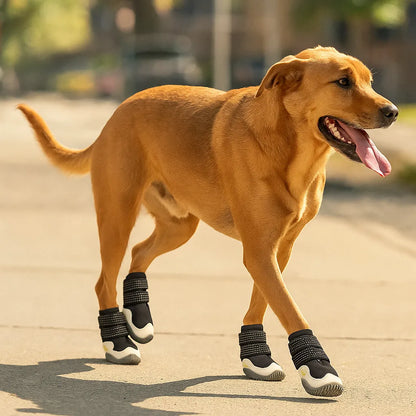 Hundeschuhe rutschfest | Pfotenschutz, wasserdicht & atmungsaktiv