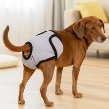 Couches pour chiens lavables | Étanches & respirantes