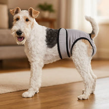 Couches pour chiens lavables | Étanches & respirantes