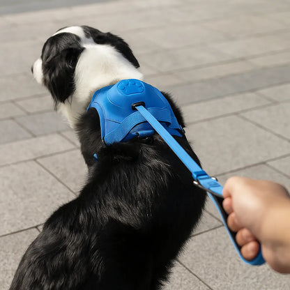 Hundegeschirr ohne Ziehen | Verstellbar & Komfortabel