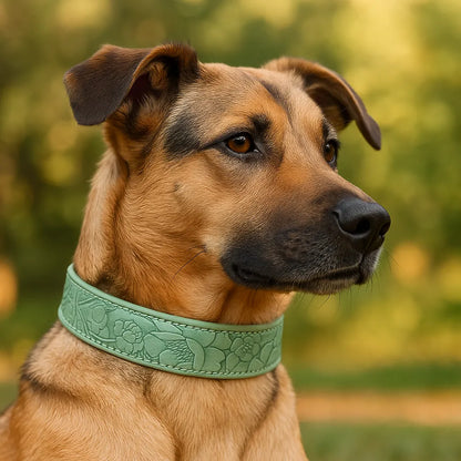 Leder Hundehalsband | Robust & verstellbar für große Hunde