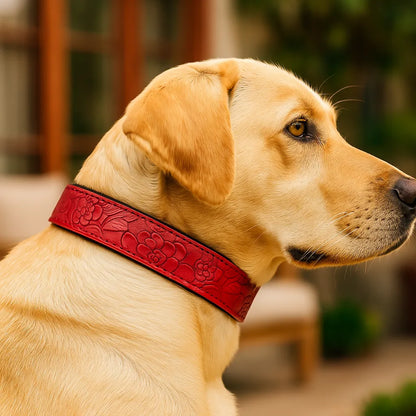 Leder Hundehalsband | Robust & verstellbar für große Hunde