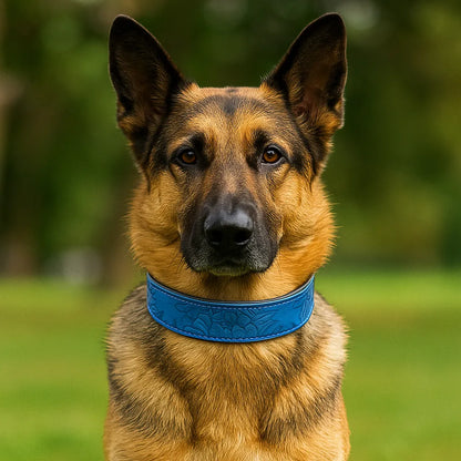 Leder Hundehalsband | Robust & verstellbar für große Hunde