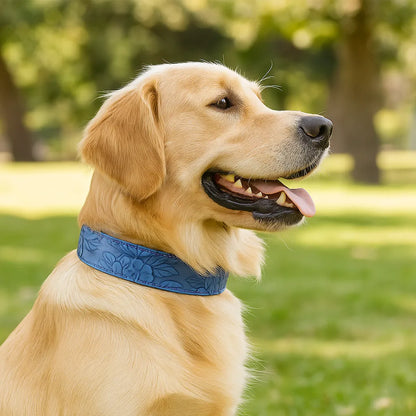 Leder Hundehalsband | Robust & verstellbar für große Hunde