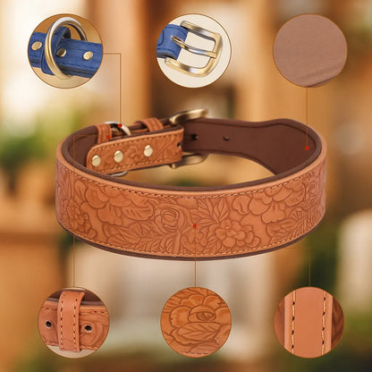 Leder Hundehalsband | Robust & verstellbar für große Hunde