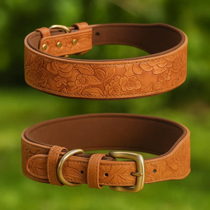 Leder Hundehalsband | Robust & verstellbar für große Hunde