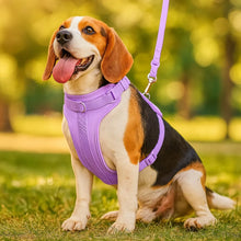 Dog harness without pulling | Breathable & adjustable