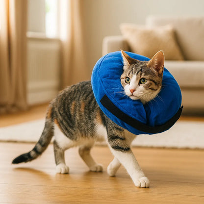 Aufblasbarer Schutzkragen für Katzen | Weich & verstellbar