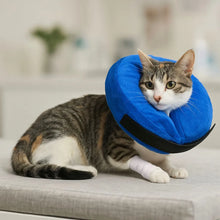 Inflatable protective collar for cats | Soft & adjustable