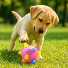Interactive Dog Toy – Bouncing Ball Against Boredom