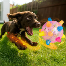 Interactive Dog Toy – Bouncing Ball Against Boredom