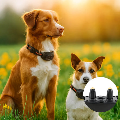 Antibellhalsband – Ton, Vibration & sichere Korrektur