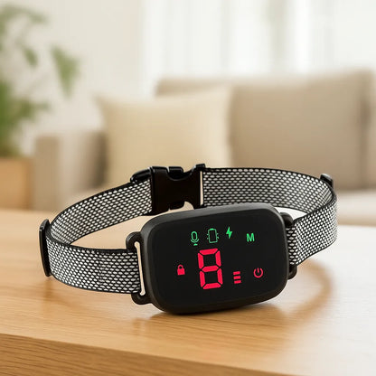 Antibellhalsband mit Ton & Vibration – Sanftes, automatisches Halsband gegen Bellen